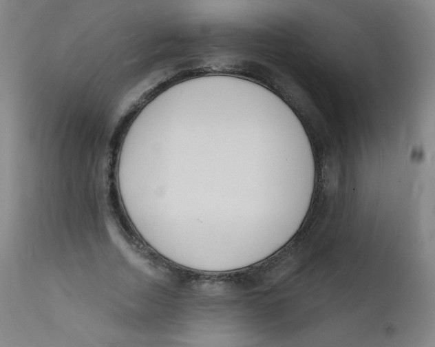 X0000112140730200909041038