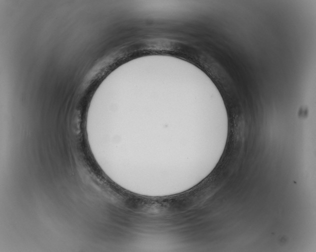 X0000112140731200909041038