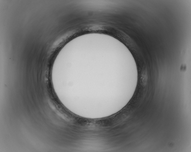 X0000112140732200909041038