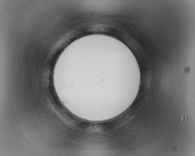 X0000112140735200909041039