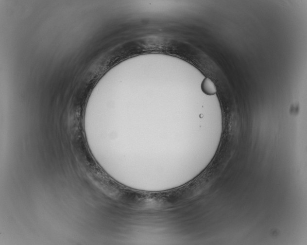 X0000112140737200909041039