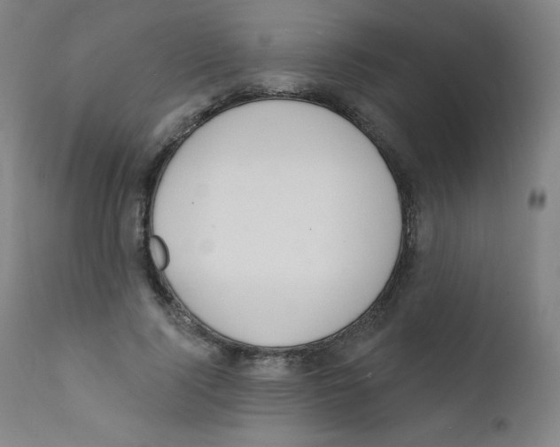 X0000112140740200909041039