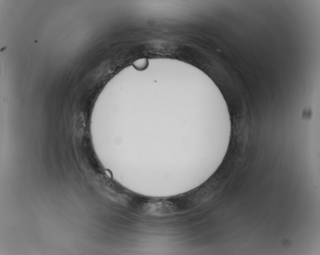 X0000112140752200909041039