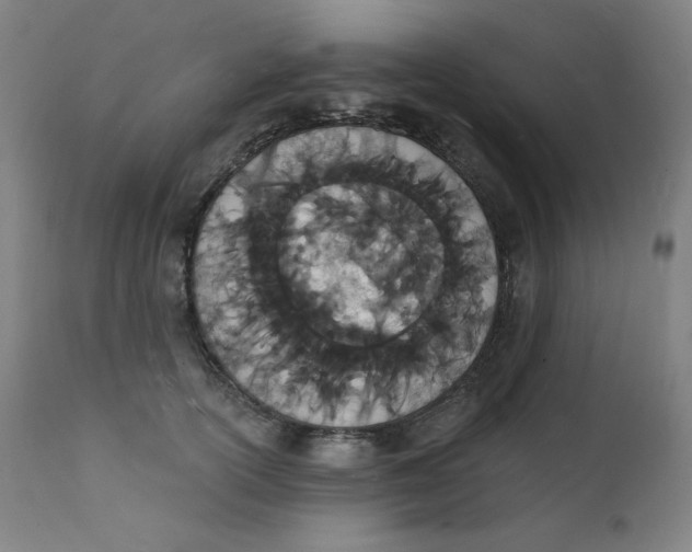 X0000112140754200909041039