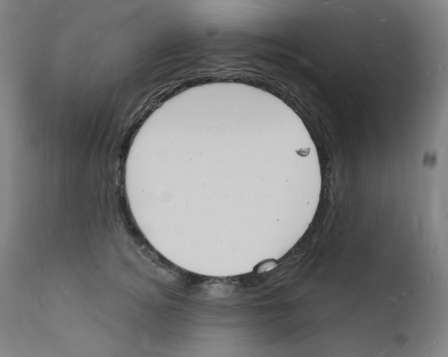 X0000112140756200909041039