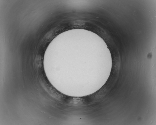 X0000112140758200909041039