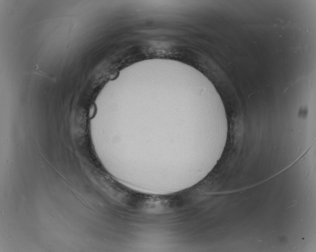 X0000112140760200909041039