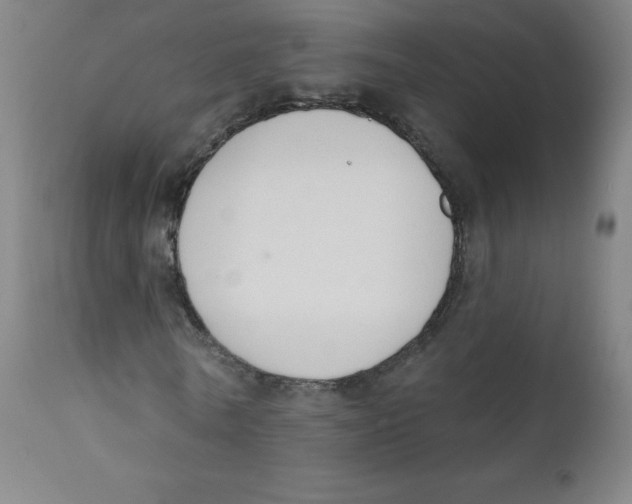 X0000112140770200909041038