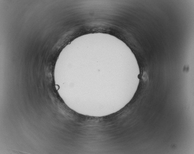 X0000112140771200909041038