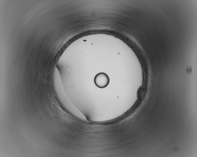 X0000112140777200909041038