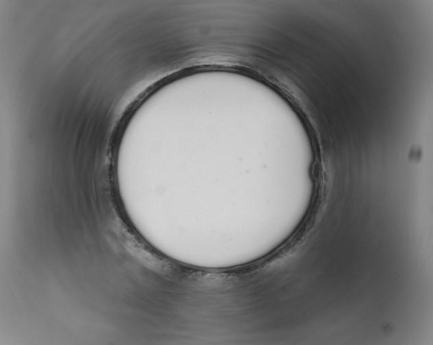 X0000112140779200909041038