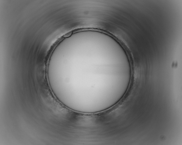 X0000112140781200909041038