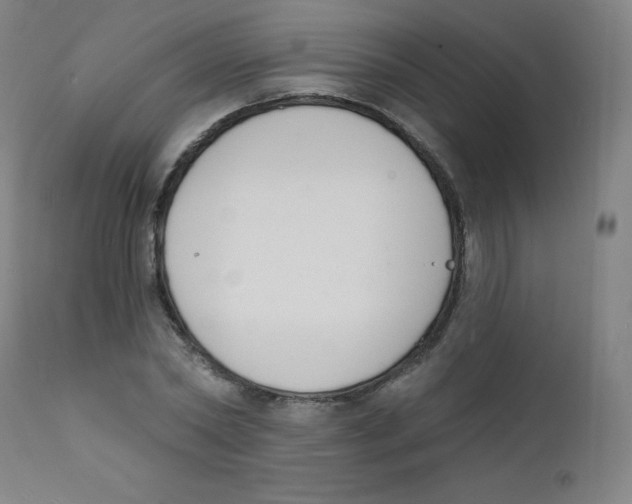 X0000112140782200909041038