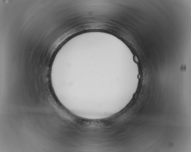 X0000112140786200909041038