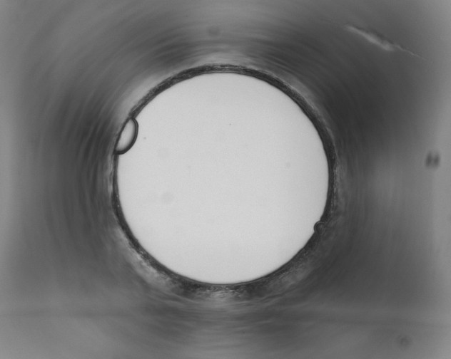 X0000112140791200909041038