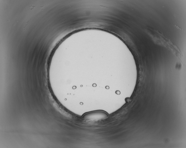 X0000112140792200909041038