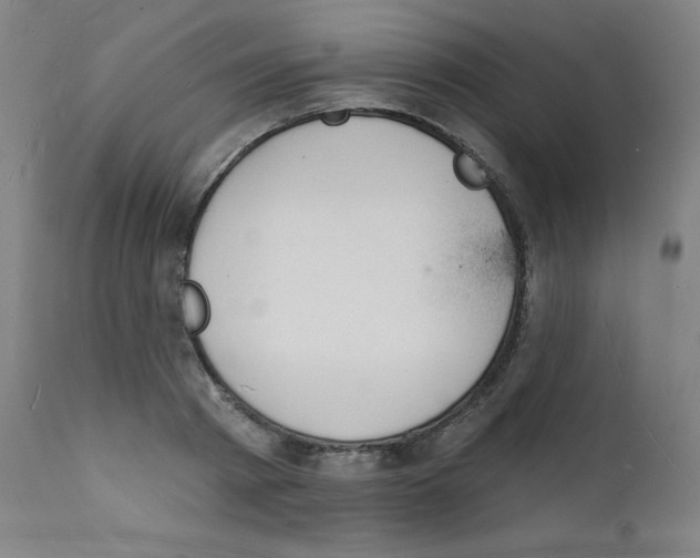 X0000112140793200909041038