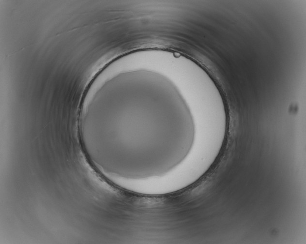 X0000112140802200909041038