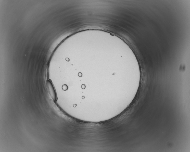 X0000112140804200909041038