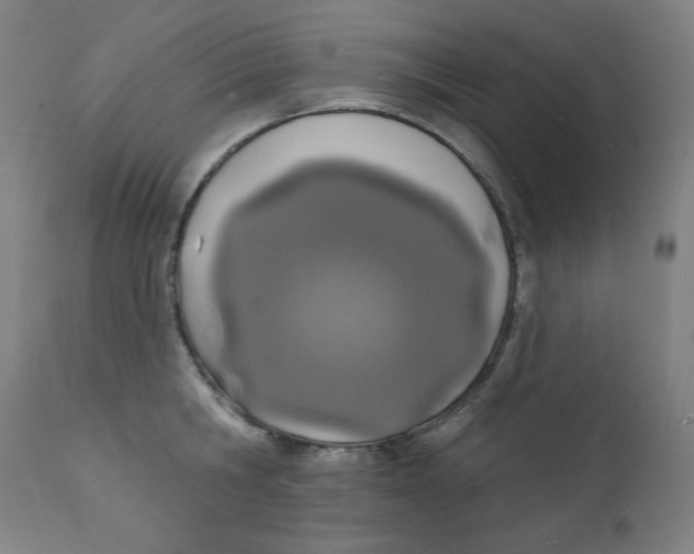 X0000112140806200909041038