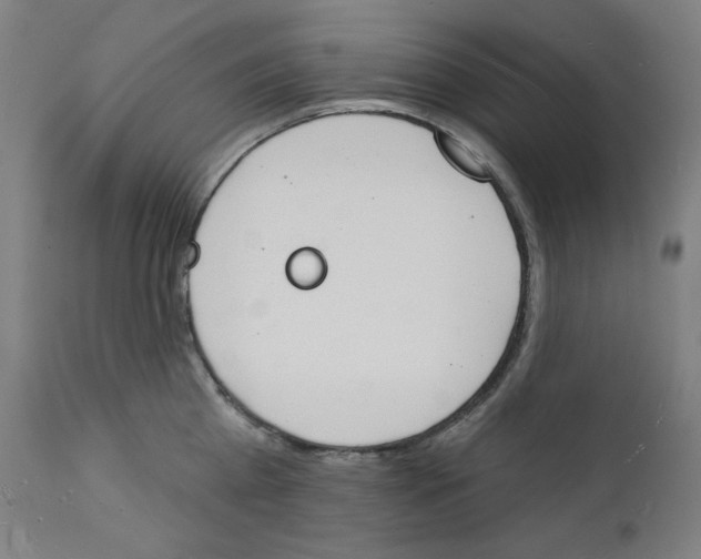 X0000112140809200909041038