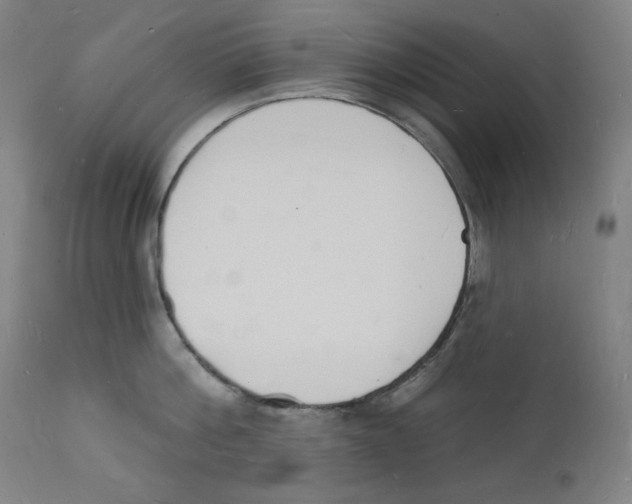 X0000112140812200909041038