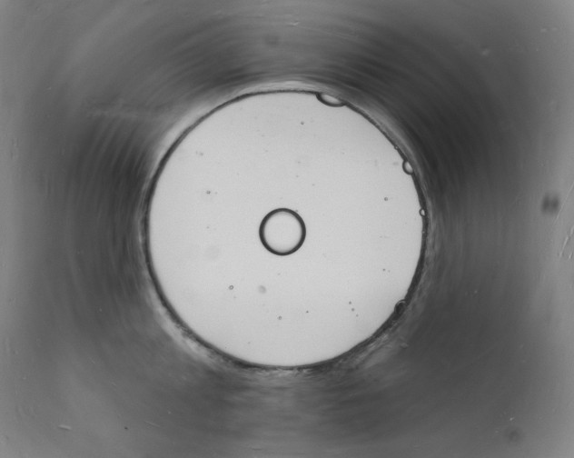 X0000112140813200909041038