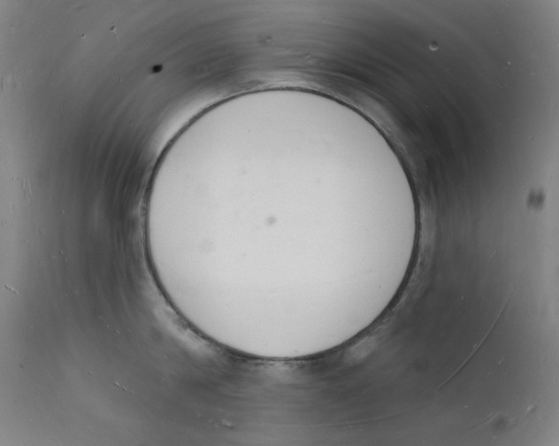 X0000112140814200909041038