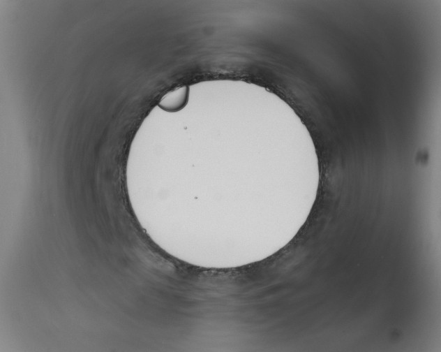 X0000112140817200909041037