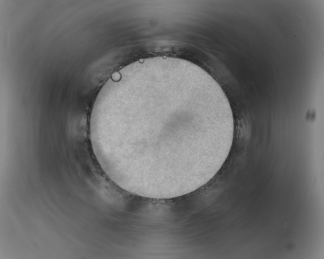 X0000112140820200909041037