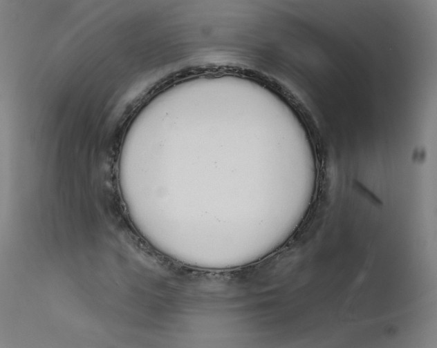 X0000112140823200909041037