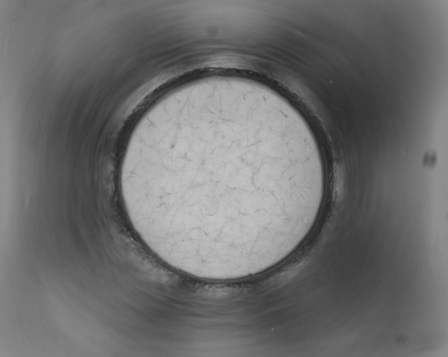 X0000112140829200909041037