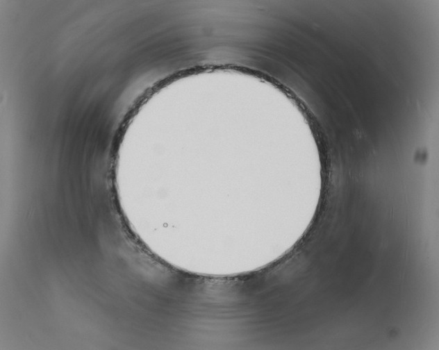 X0000112140832200909041037