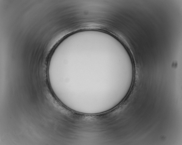 X0000112140835200909041037