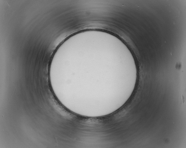 X0000112140842200909041037