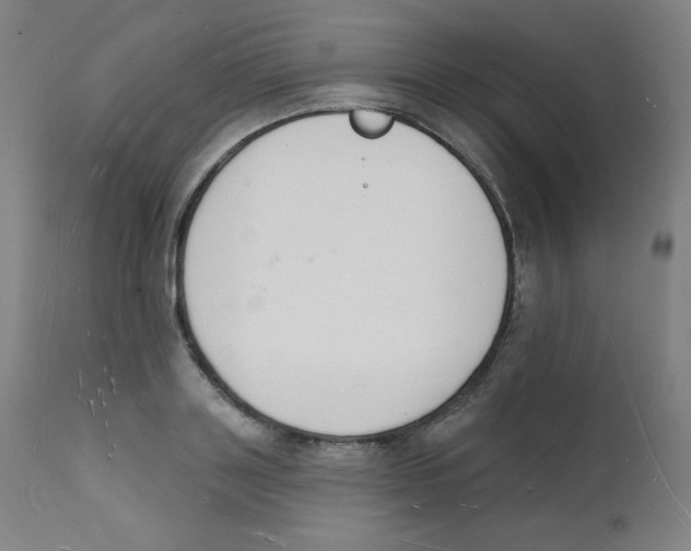 X0000112140843200909041037