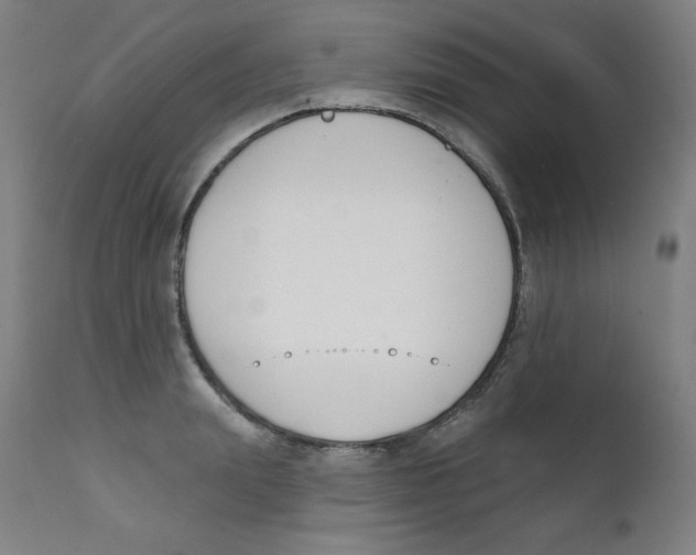 X0000112140847200909041037