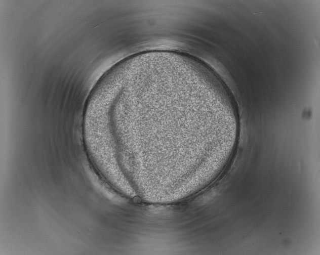 X0000112140850200909041037