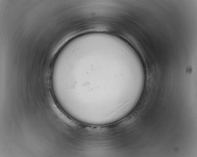 X0000112140851200909041037