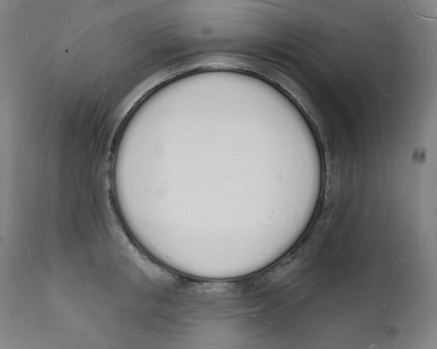 X0000112140853200909041038