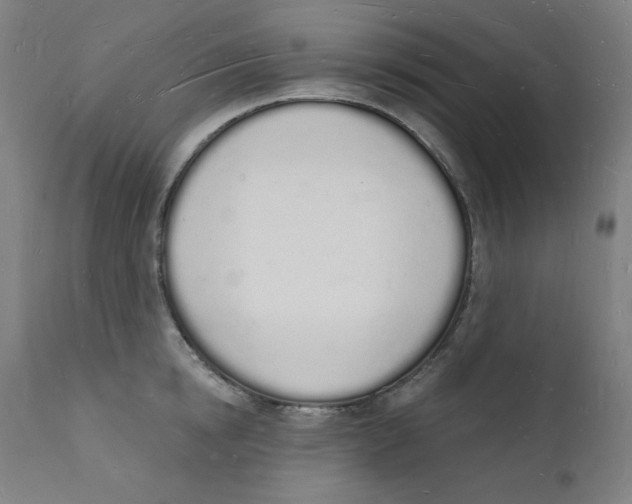 X0000112140854200909041038