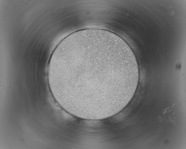 X0000112140856200909041038