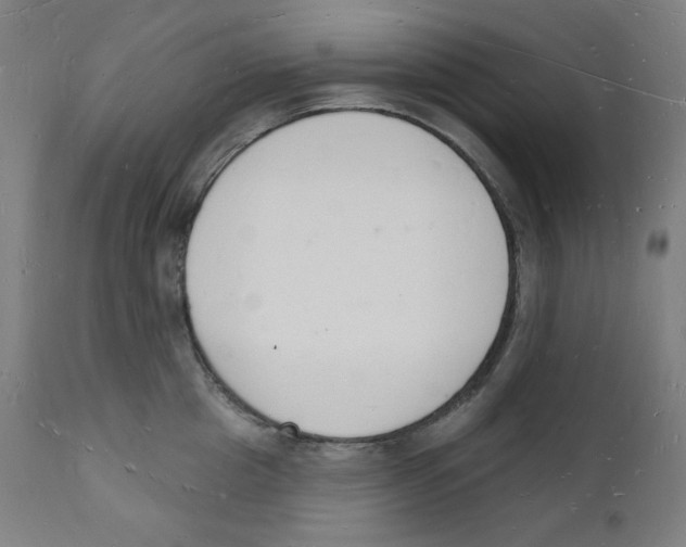 X0000112140857200909041038