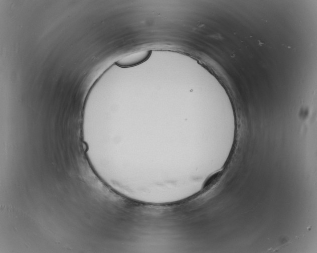 X0000112140860200909041038