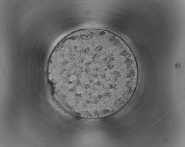 X0000112140864200909041038