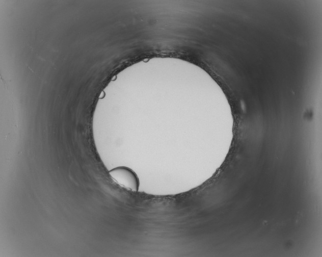 X0000112140865200909041037