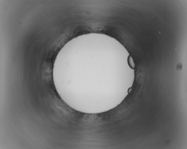 X0000112140866200909041037