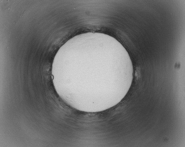 X0000112140867200909041037