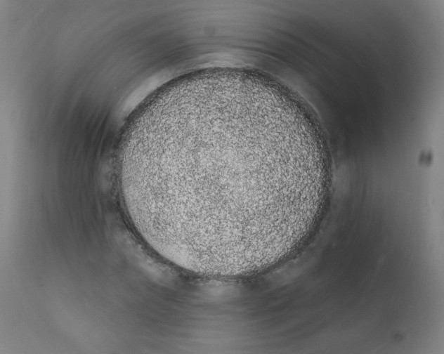 X0000112140874200909041037