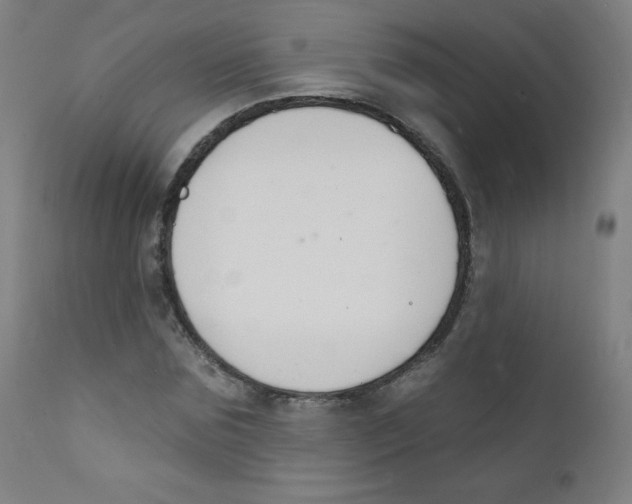 X0000112140875200909041037